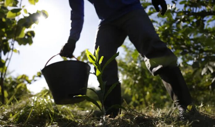Governo apresenta plano para desenvolver bioeconomia no país