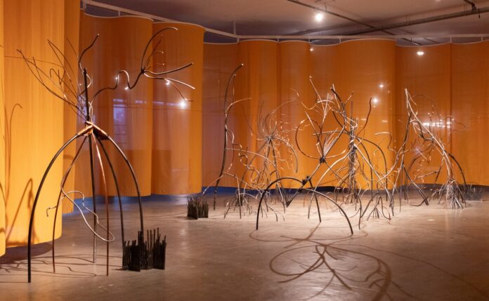 Museu Nacional apresenta 36ª Bienal de São Paulo, em formato itinerante