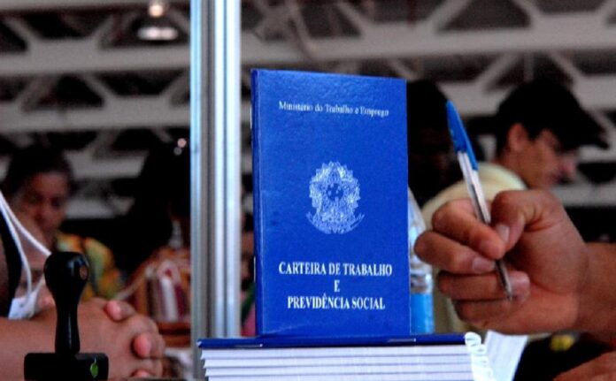 DF é uma das unidades da Federação que mais geram empregos para famílias do Cadúnico
