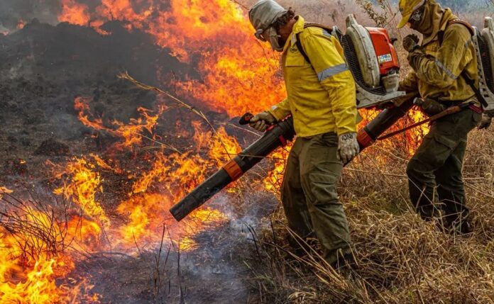 Governo repassa R$ 337 milhões para combate a incêndios e desmatamento