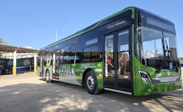 Novos ônibus elétricos começam a circular no DF
