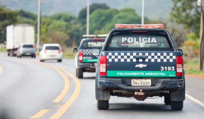 Programação especial celebra Semana do Meio Ambiente 2026