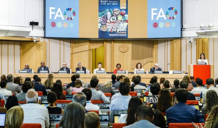 Brasil continua fora do Mapa da Fome, aponta relatório da ONU