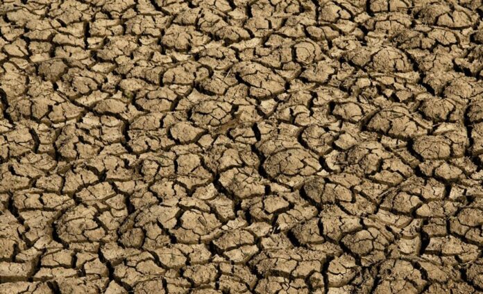 Desertificação no Brasil ameaça segurança hídrica e alimentar