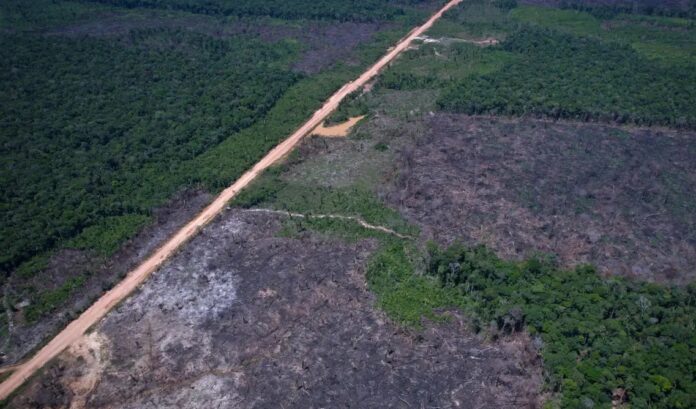 Desmatamento na Amazônia cai 36,87% no último ano