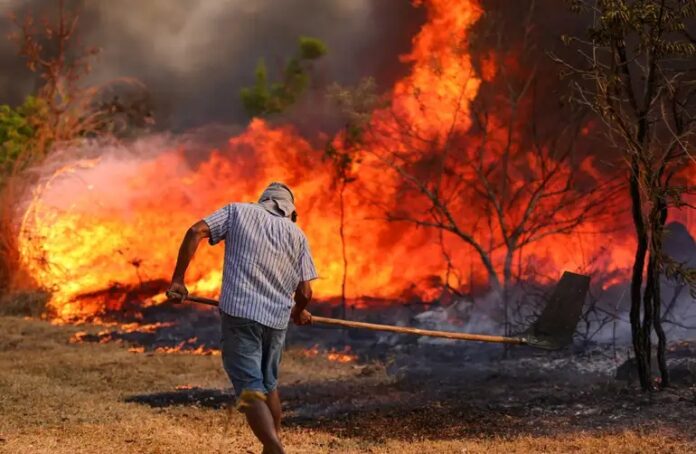 Queima de lixo eleva risco de incêndio durante período de seca