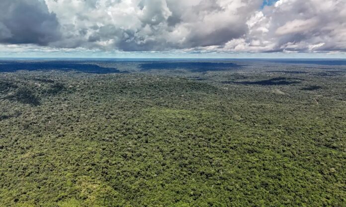 Crédito de US$ 1 bilhão do BID é autorizado para Eco Invest Brasil
