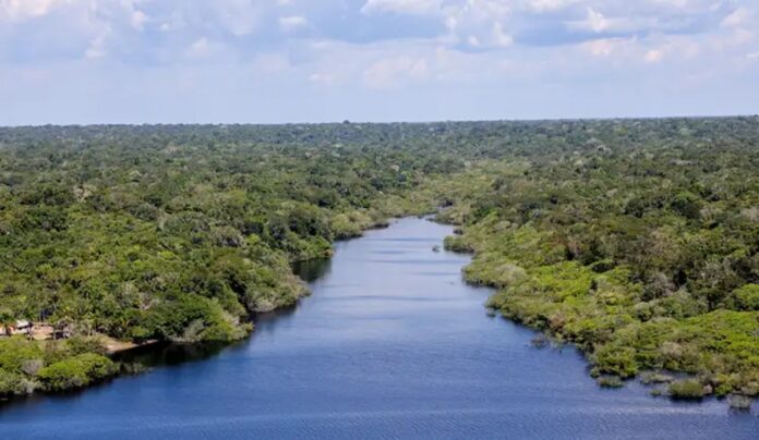 Radar Bioecon reúne 232 políticas públicas para a bioeconomia na Pan-Amazônia